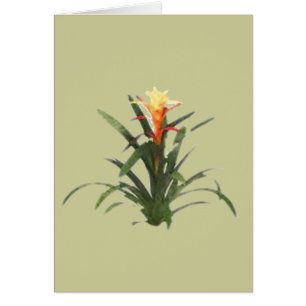 Cartão Bromelia
