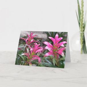 Cartão Bromeliad Greeting Card