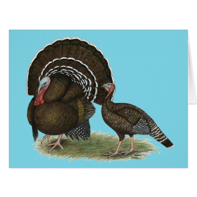 Cartão Bronze padrão da Turquia (Frente horizontal)