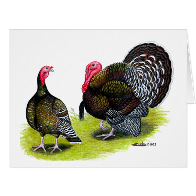 Cartão Bronze Quebrado na Turquia (Frente horizontal)