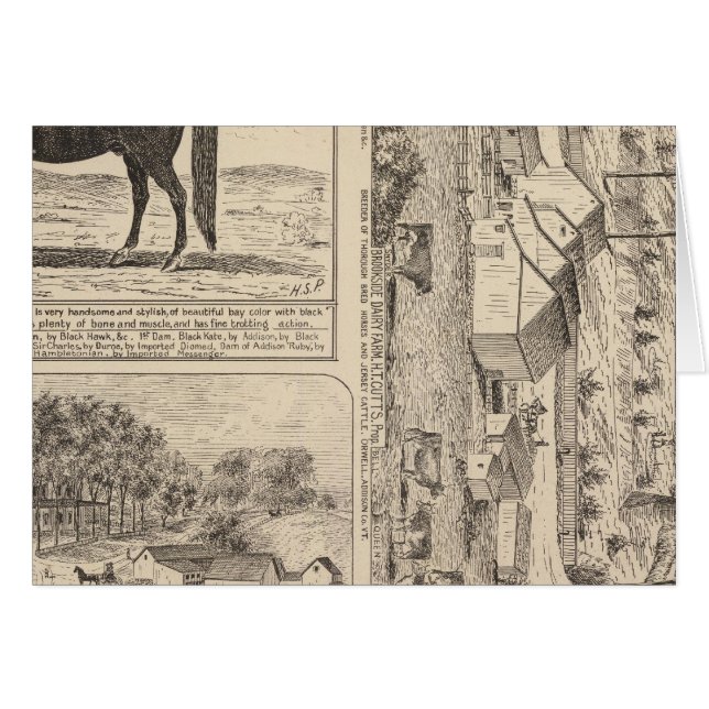 Cartão Brookside Dairy Fazenda (Frente Horizontal)