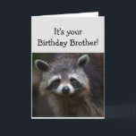 Cartão BROTHER Divertido Idade Humor Sad Raccoon Humor<br><div class="desc">Aniversário Blahs para sua Idade da Diversão IRMÃ Você é lixo para mim Arte Animal Humorosa Raccoon</div>