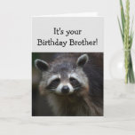 Cartão BROTHER Divertido Idade Humor Sad Raccoon Humor<br><div class="desc">Aniversário Blahs para a sua Idade da Diversão Iraniana só porque você já teve muitas delas.  Arte animal humorística e deprimida</div>