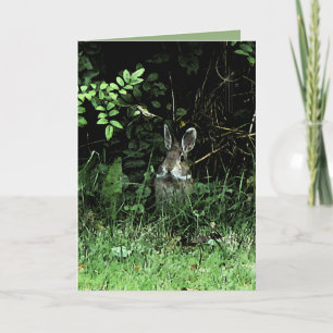 Cartão Brother Rabbit