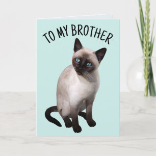 CARTÃO BROTHER SIAMESESE CAT BIRTHDAY