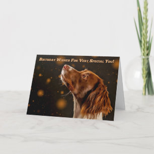 Cartão Brown And Cream Springer Spaniel, Birthday Wishes