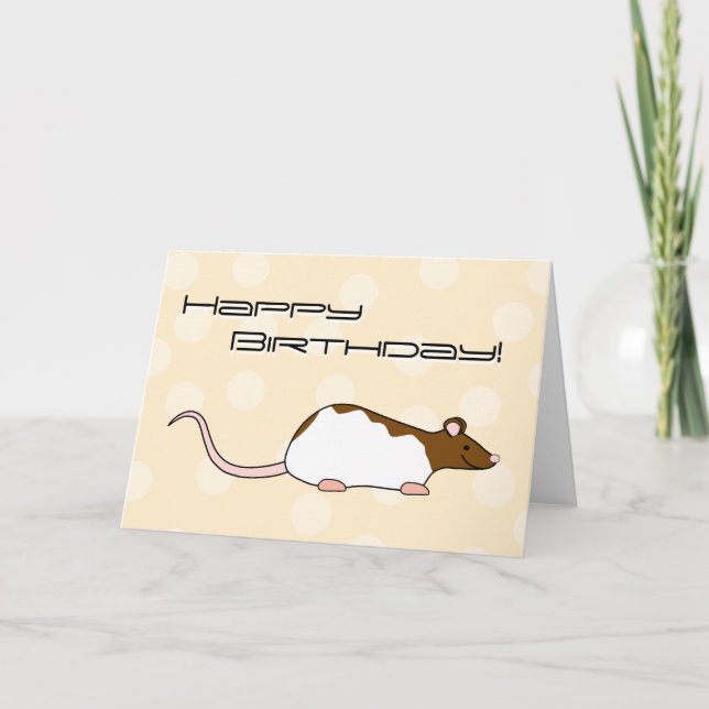 Cartão Brown and White Hooded Pet Rat. Birthday (Frente)