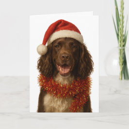 Cartão Brown and white Sprocker Spaniel Christmas card