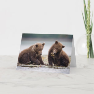 Cartão Brown Bear Cubs by the Stream
