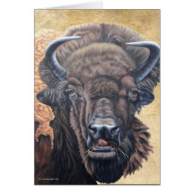 Brown Buffalo Eating