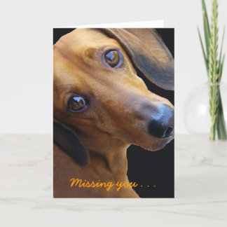 Cartão Brown Dachshund, Missing you . . .Greeting Card