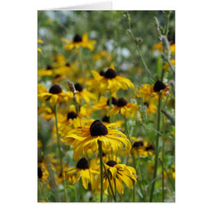 Cartão Brown Eyed Susan Card