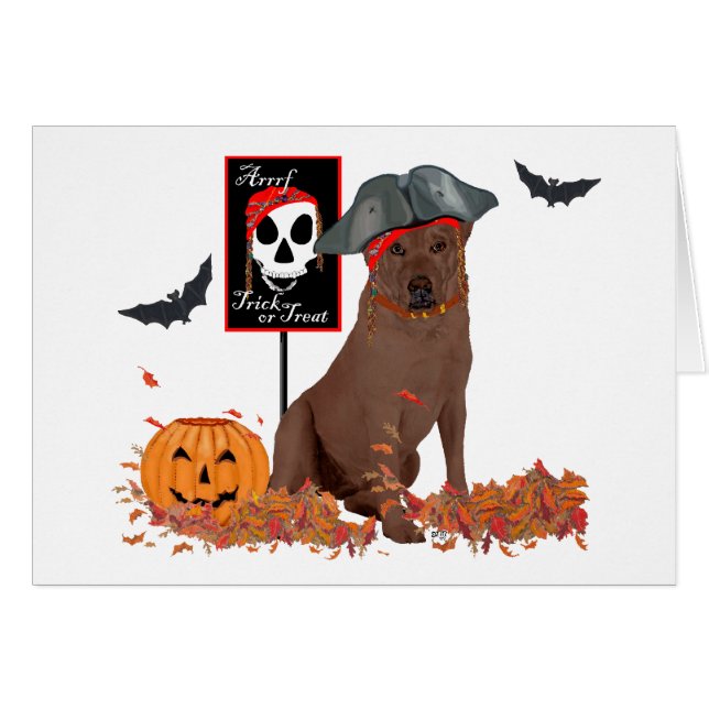 Cartão Brown Labrador Retriever Pirate (Frente Horizontal)