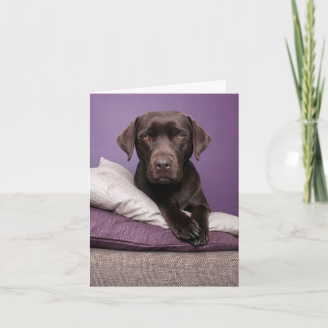 Cartão Brown Labrador Retriever Puppy Dog Blank Note Card (Frente)