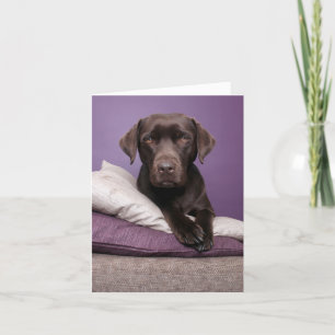 Cartão Brown Labrador Retriever Puppy Dog Blank Note Card