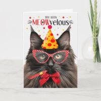 Brown Maine Coon Cat MEOWvelous Aniversário