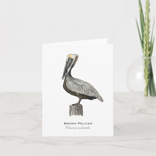 Cartão Brown Pelican Folded Note Card (Frente)