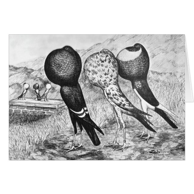 Cartão Brunner Pouter Pigeons (Frente horizontal)