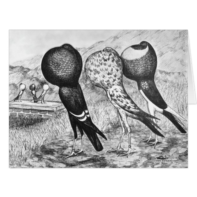 Cartão Brunner Pouter Pigeons (Frente horizontal)