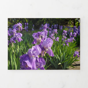 Cartão Bruto e Batelado