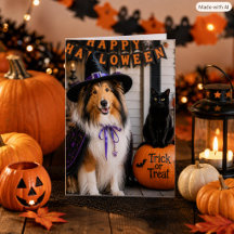 Bruxa Collie Caprichosa & Gato Dobrado de Truque o