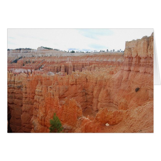 Cartão Bryce Canyon National Park, Utah, Card (Frente Horizontal)