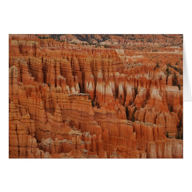 Cartão Bryce Canyon National Park, Utah, Card (Frente Horizontal)