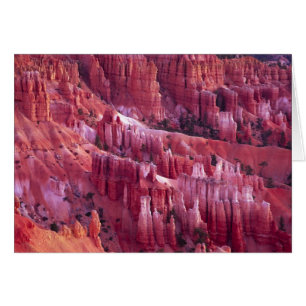 Cartão Bryce Canyon, Utah, EUA