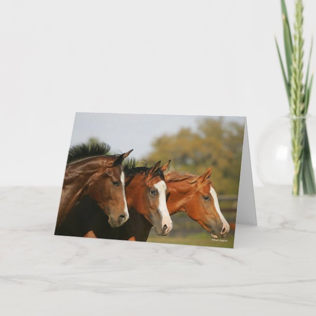 Cartão BTtrês Cavalos Trimestrais Executando Capturas de  (Frente)