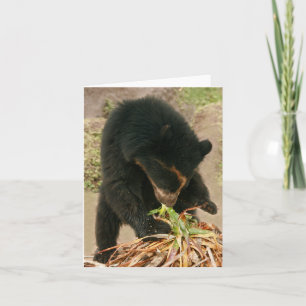 Cartão Bubu Notecard PB1