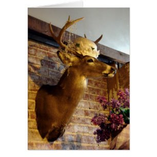 Cartão Buck em um chapéu