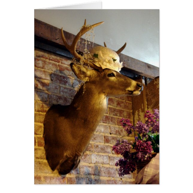 Cartão Buck em um chapéu (Frente)