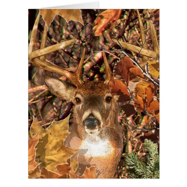 Cartão Buck in Fall Camo White Tail Deer (Frente)