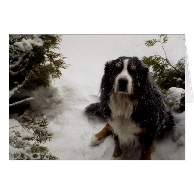 Cartão Buckminster ama neve (Frente Horizontal)