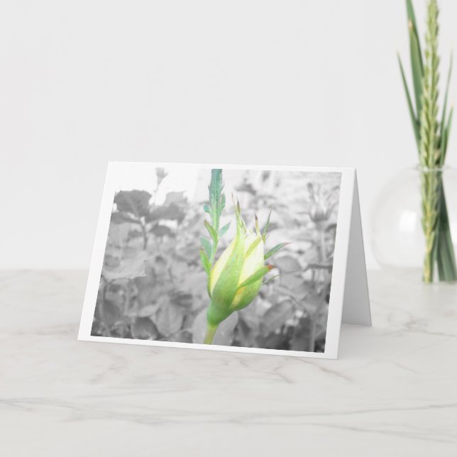 cartão bud amarelo (Frente)