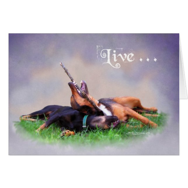 Cartão Bud & Gabby (Frente Horizontal)