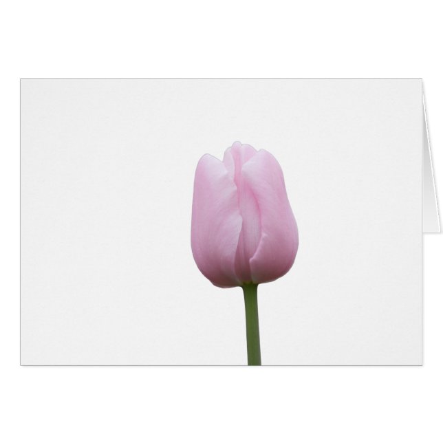 Cartão Bud Tulip Rosa solteiro com Poema (Frente Horizontal)