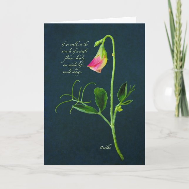 Cartão Buddha Miracle Quote Card (Frente)