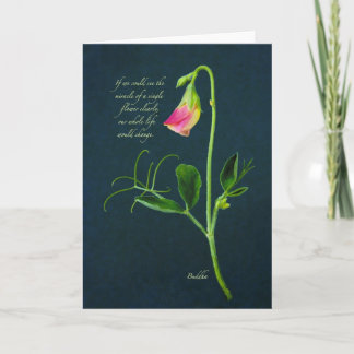 Cartão Buddha Miracle Quote Card