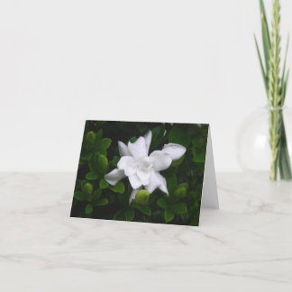 Cartão Budding Gardenias Floral Notecard