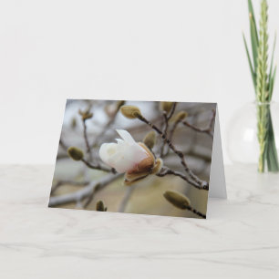 Cartão Budding Magnolia Bloom, inside verse on Faith