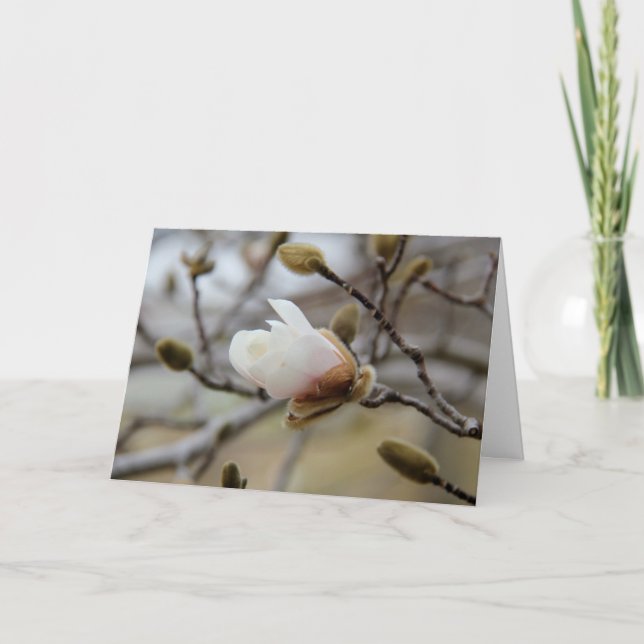 Cartão Budding Magnolia Bloom, inside verse on Faith (Frente)