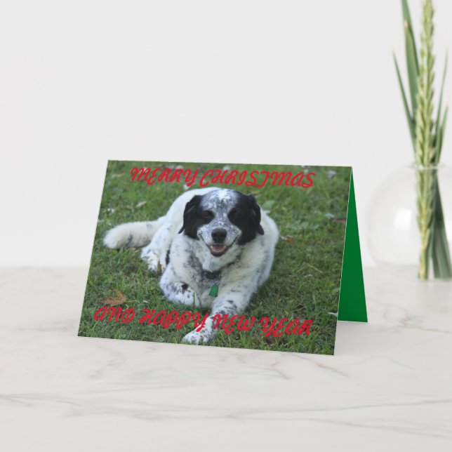 Cartão Buddy Closeup (Frente)