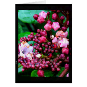 Cartão Buds rosa na placa de Vazio de folhas verdes