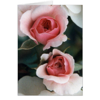 Cartão Buds se tornando florescente