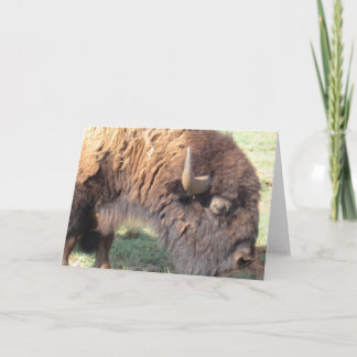 Cartão Buffalo