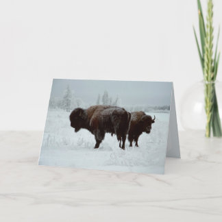 Cartão Buffalo greeting card