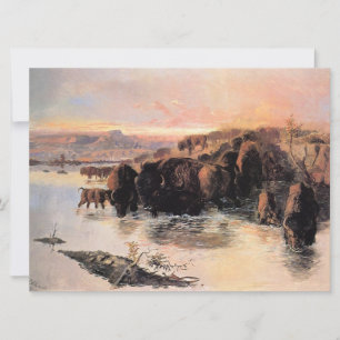 Cartão Buffalo Herd