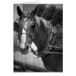 Cartão Buggy Horse no Posto Hitching