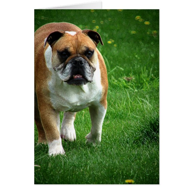 Cartão Buldogue (Frente)